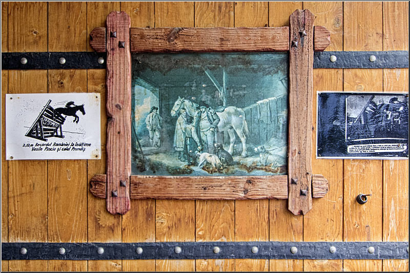 serbanvornicu_i-a-zi_21