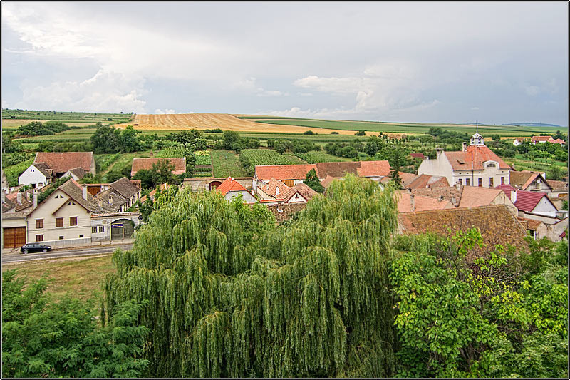 serbanvornicu_i-a-zi_33