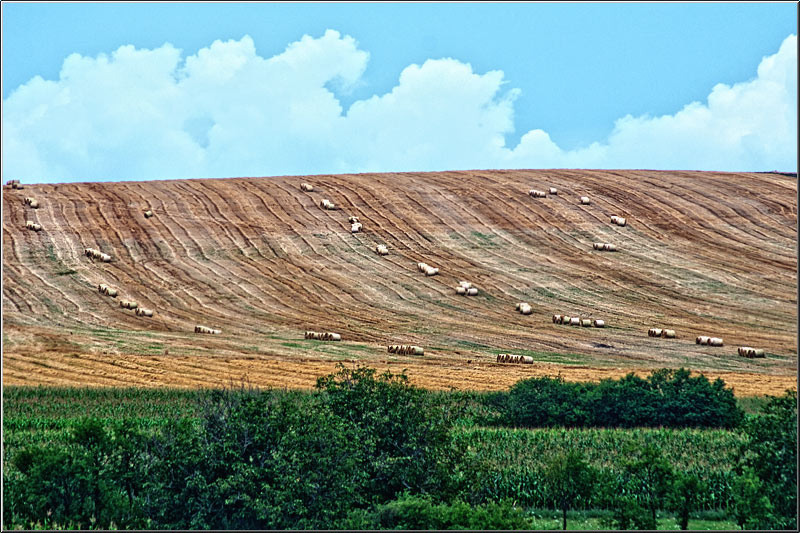 serbanvornicu_i-a-zi_36