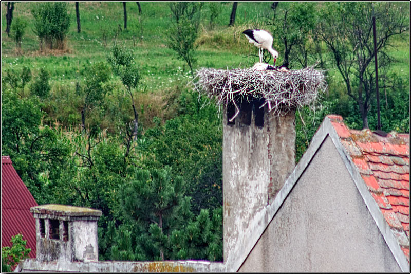 serbanvornicu_i-a-zi_37