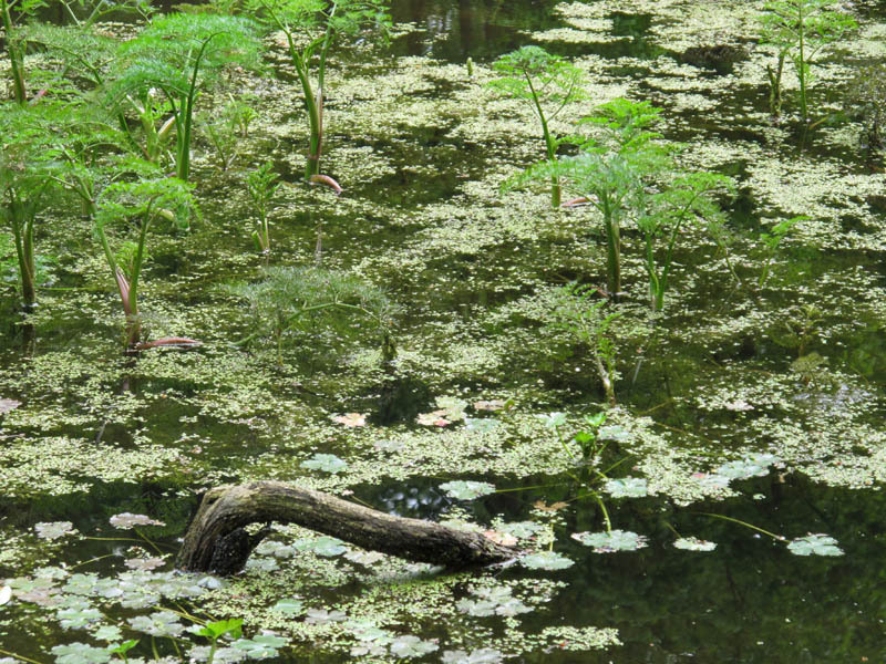 12-de-andreea-oproiu