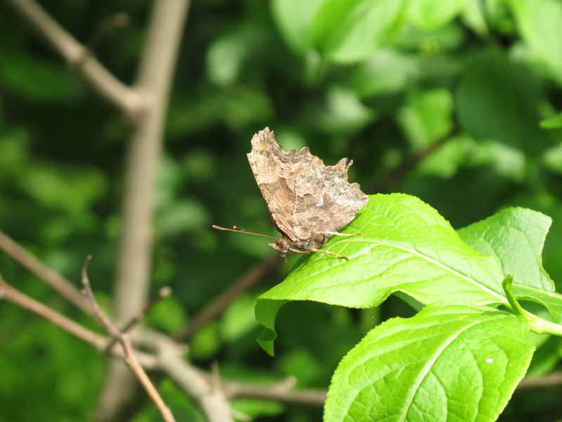 13-de-andreea-oproiu