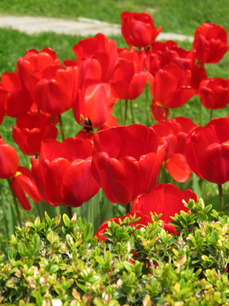 15-de-andreea-oproiu