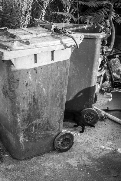 Hai-hui prin Baicului