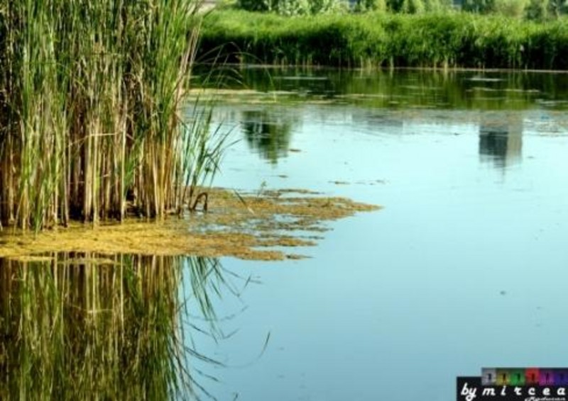 20090620_mraducan_04