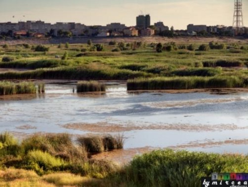 20090620_mraducan_15