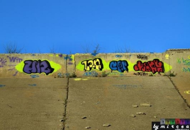 20090620_mraducan_20