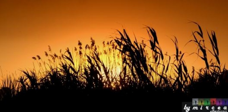 20090620_mraducan_25