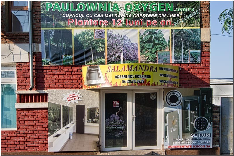 vornicu-serban-baiculuicolentina_02