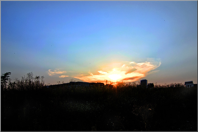 vornicu-serban-baiculuicolentina_16