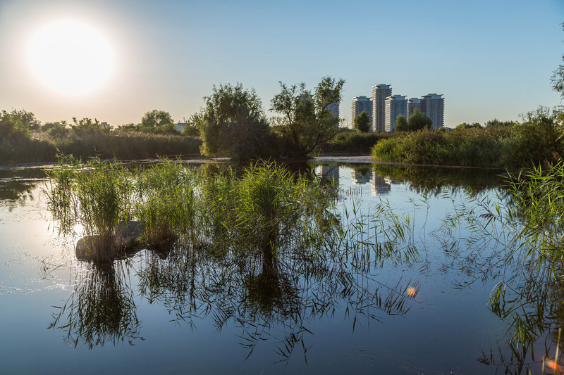 orasul-vacareti-1-14