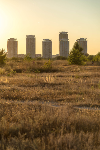 orasul-vacareti-1-16