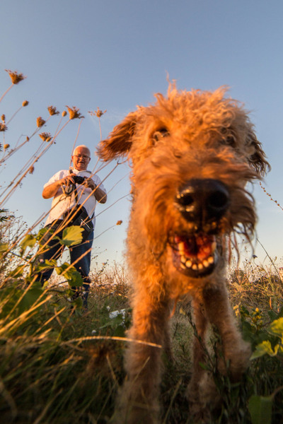 orasul-vacareti-1-18