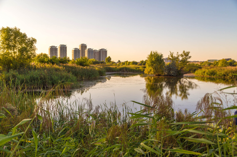 orasul-vacareti-1-23