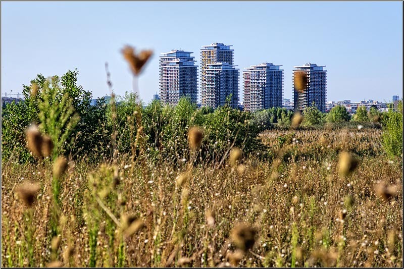 vornicu-serban-calatorie-n_timp_05