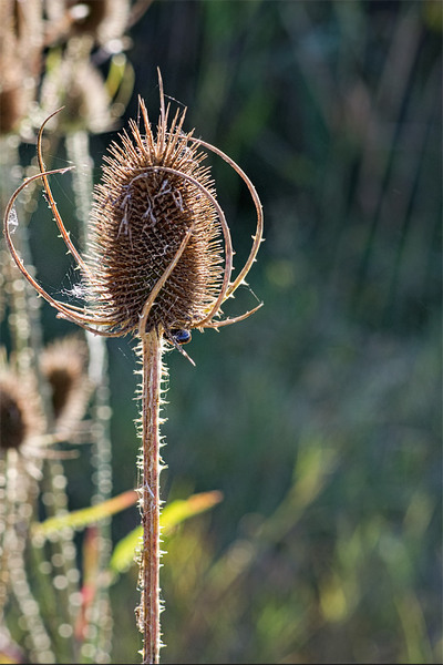vornicu-serban-calatorie-n_timp_06