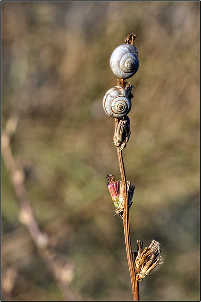 vornicu-serban-calatorie-n_timp_07