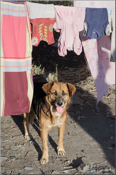 vornicu-serban-calatorie-n_timp_12