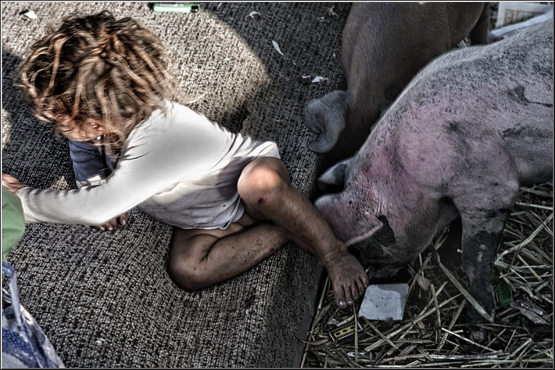 vornicu-serban-calatorie-n_timp_13