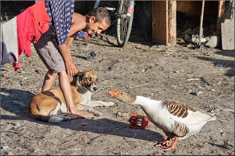 vornicu-serban-calatorie-n_timp_17