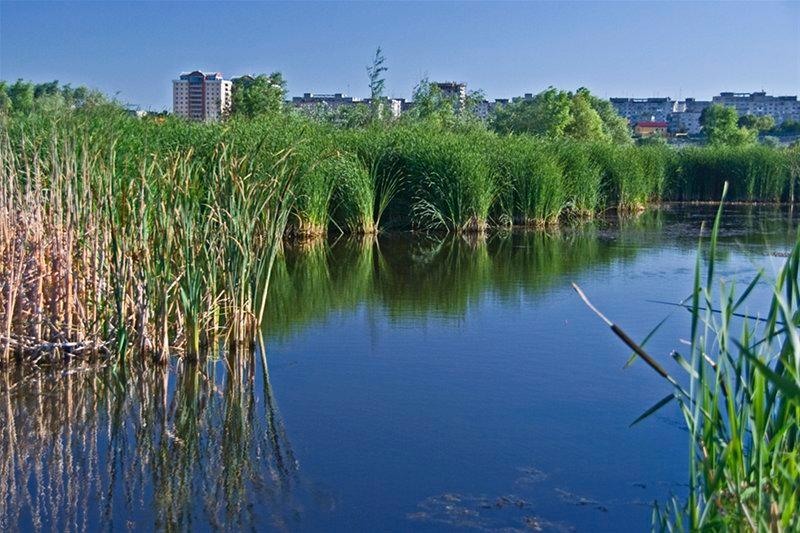 20090620_svornicu_09