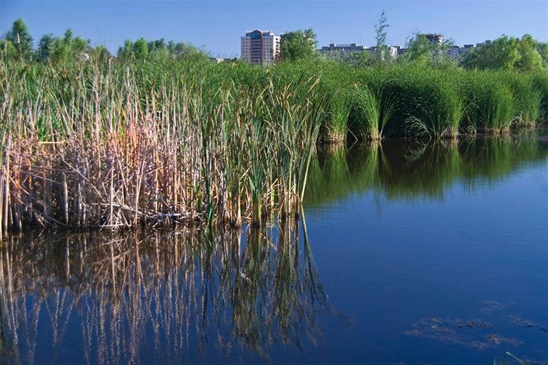 20090620_svornicu_10