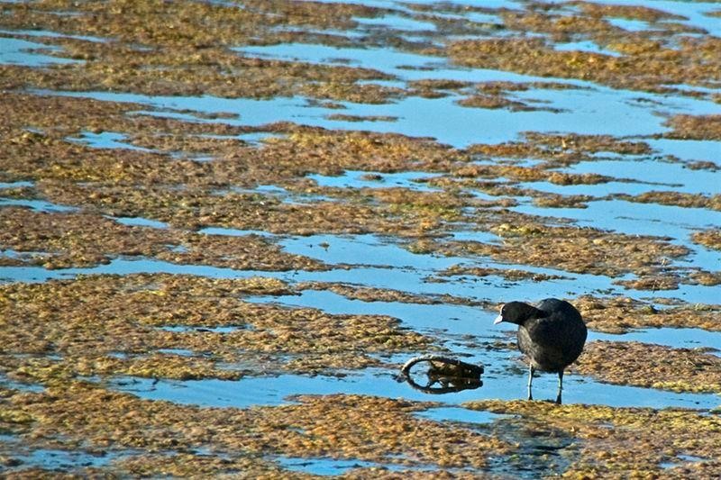 20090620_svornicu_12