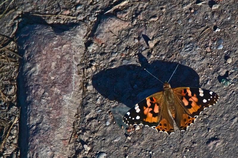 20090620_svornicu_14