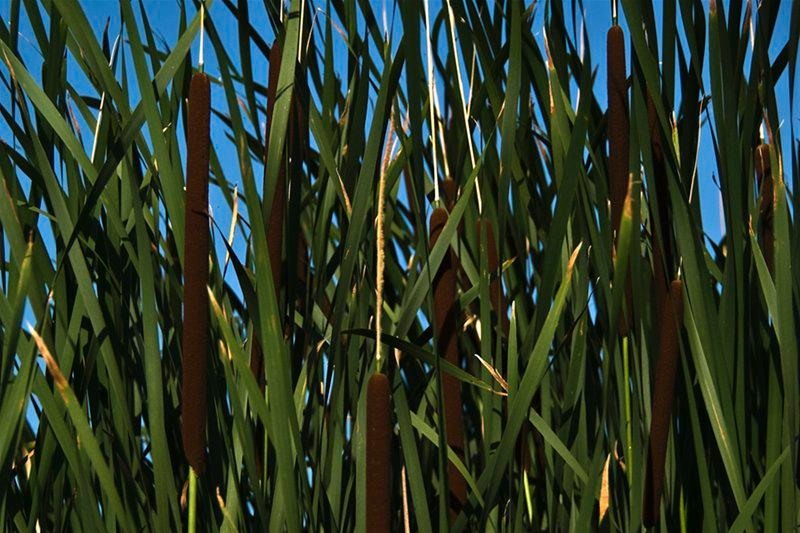 20090620_svornicu_18