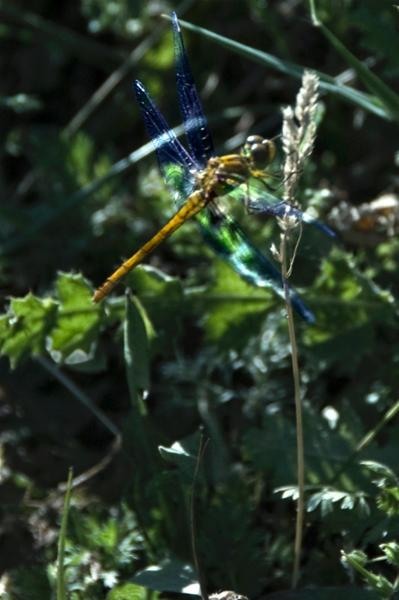 20090620_svornicu_19