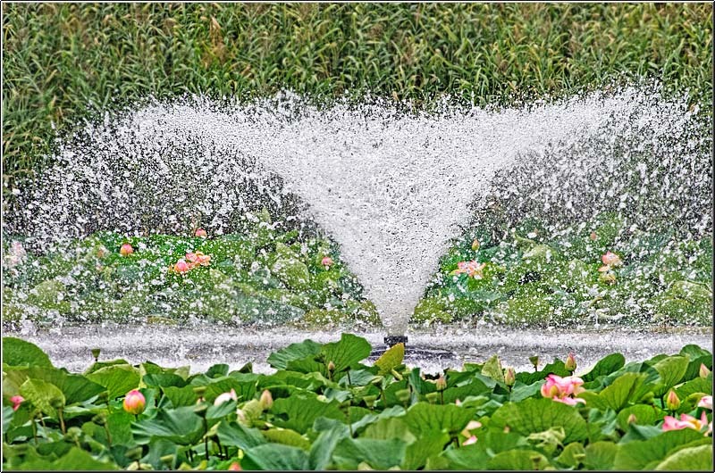 vornicu-serban-parcul-circului_05