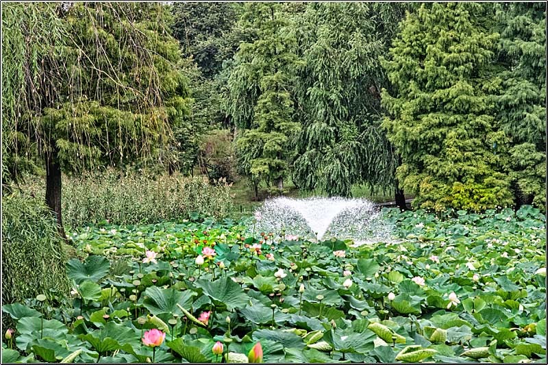 vornicu-serban-parcul-circului_13