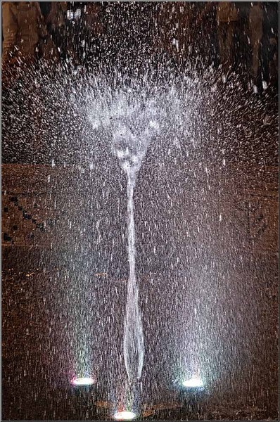 vornicu-serban-bucuresti-555_ani_06