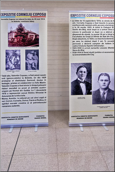 vornicu-serban-nocturnabibliotecilor_03