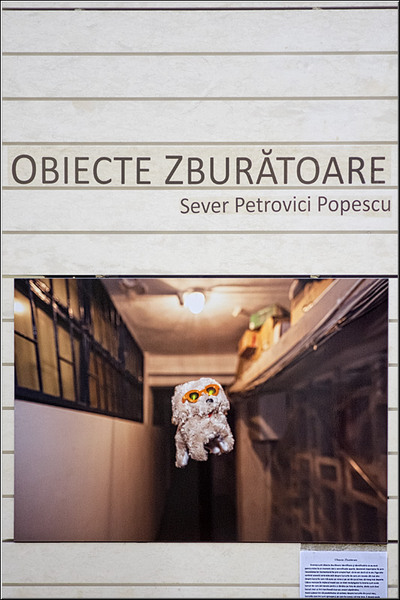 vornicu-serban-nocturnabibliotecilor_17