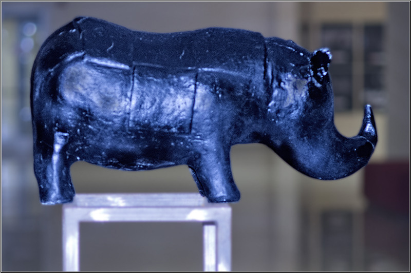 vornicu-serban-nocturnabibliotecilor_24