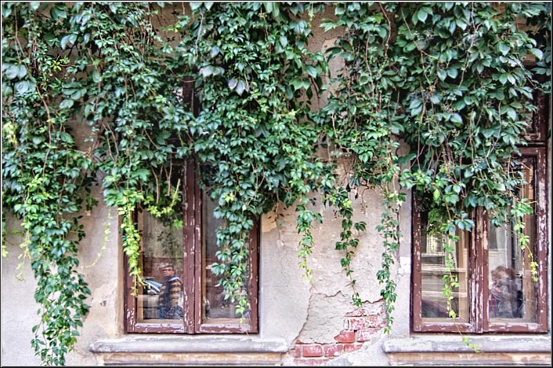 vornicu-serban-noaptea_caselor_08