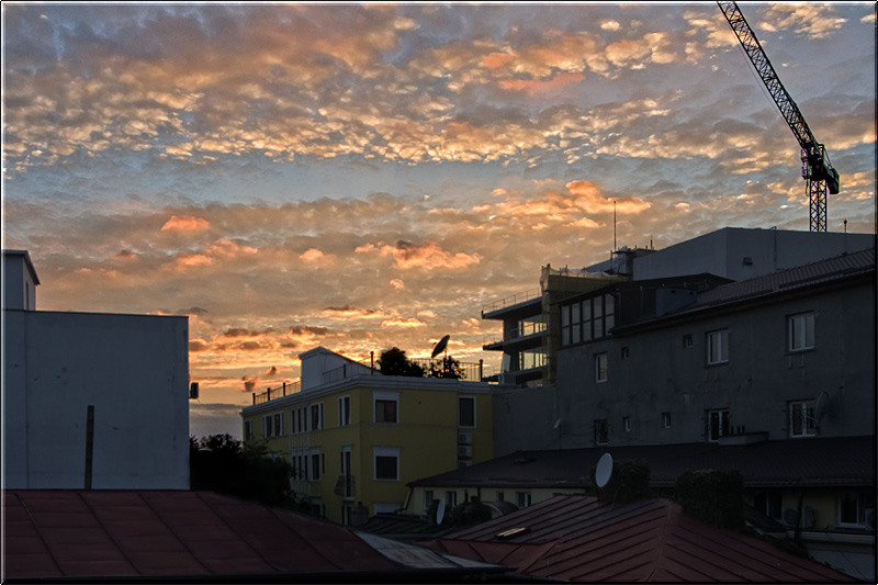 vornicu-serban-noaptea_caselor_12