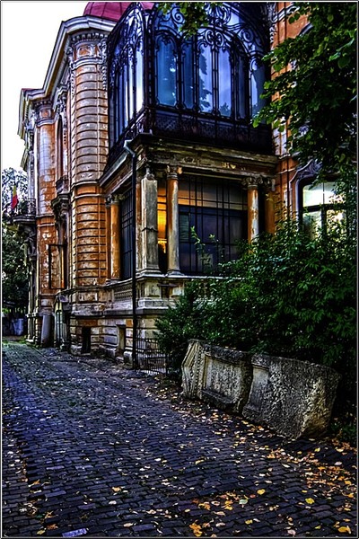 vornicu-serban-noaptea_caselor_18