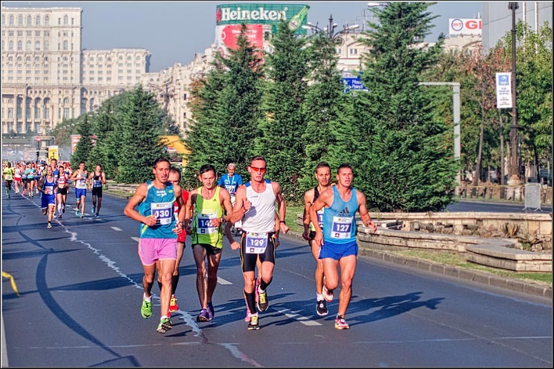 vornicu-serban-piata_bim-2014_07