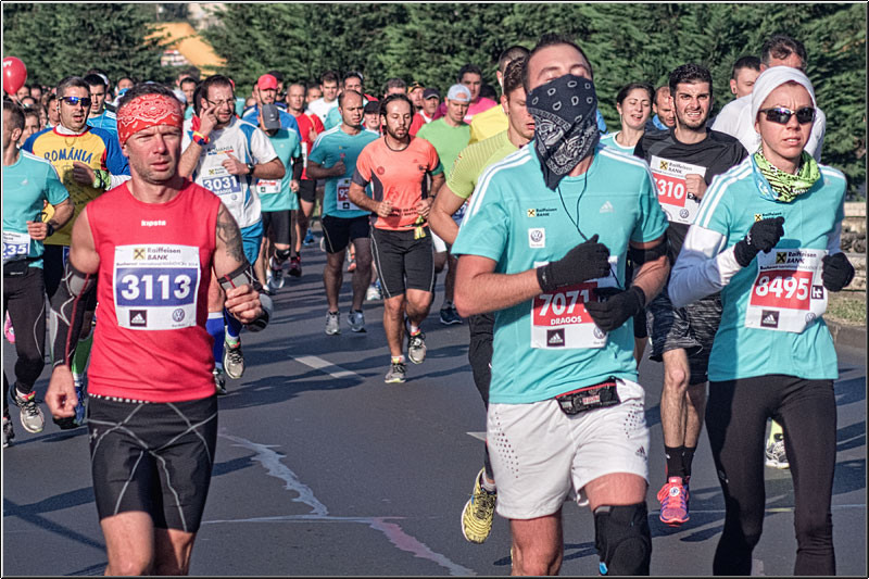 vornicu-serban-piata_bim-2014_15