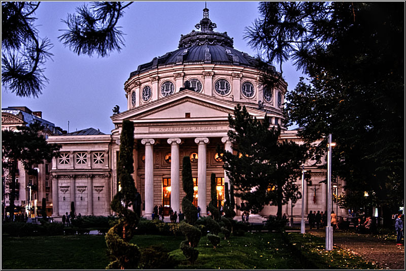 vornicu-serban-photowalk_25