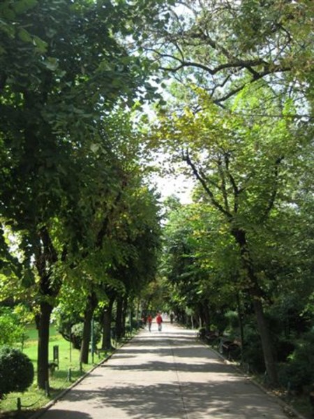 281904_258049454214976_100000297711566_1059648_8087383_n