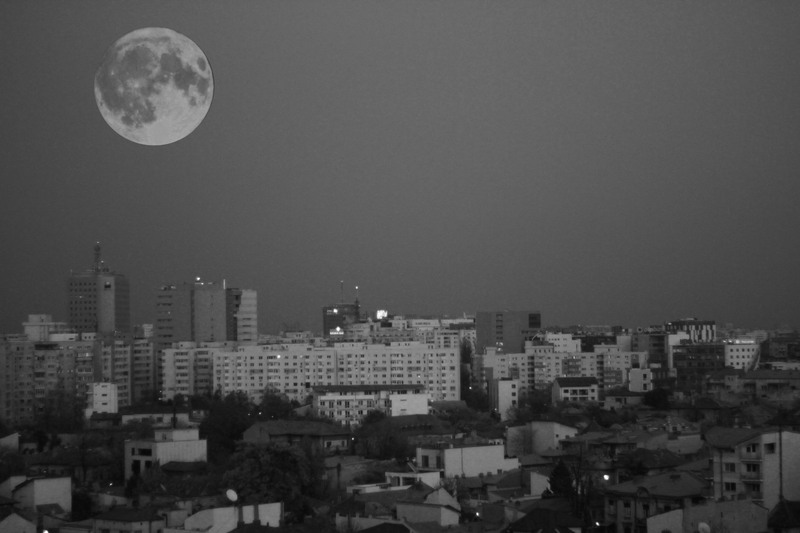 2013_11_16_leo_000194x2