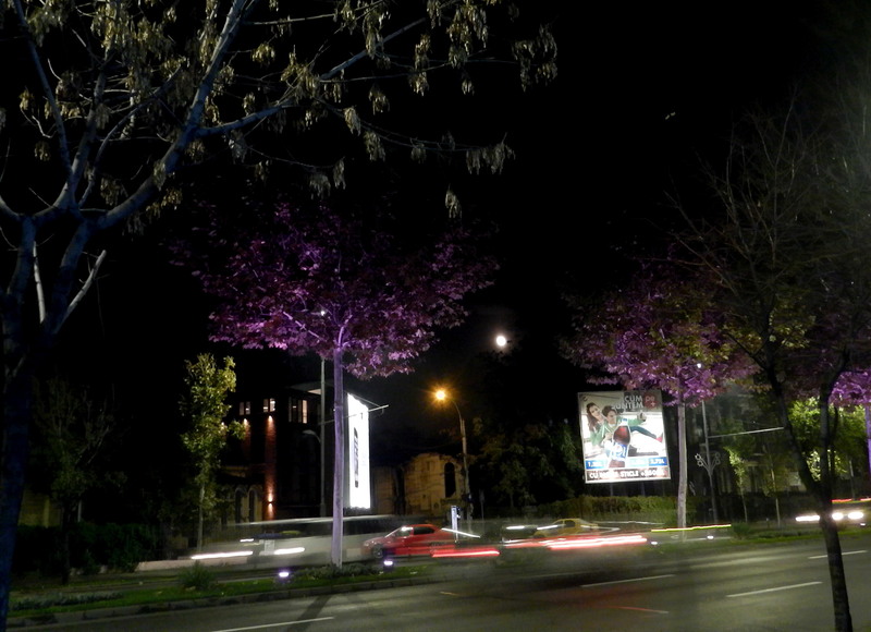 Bulevardul Lascar Catargiu