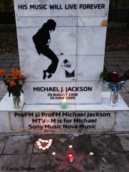 5-lucia-simion-love-for-michaels-music-2013