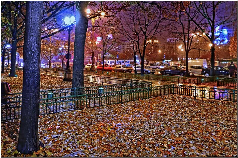 serban_vornicu-expom_01