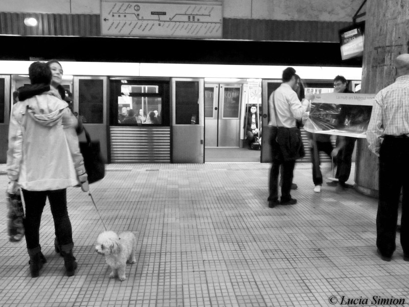 la-multi-ani-metroul-nostru-drag-5