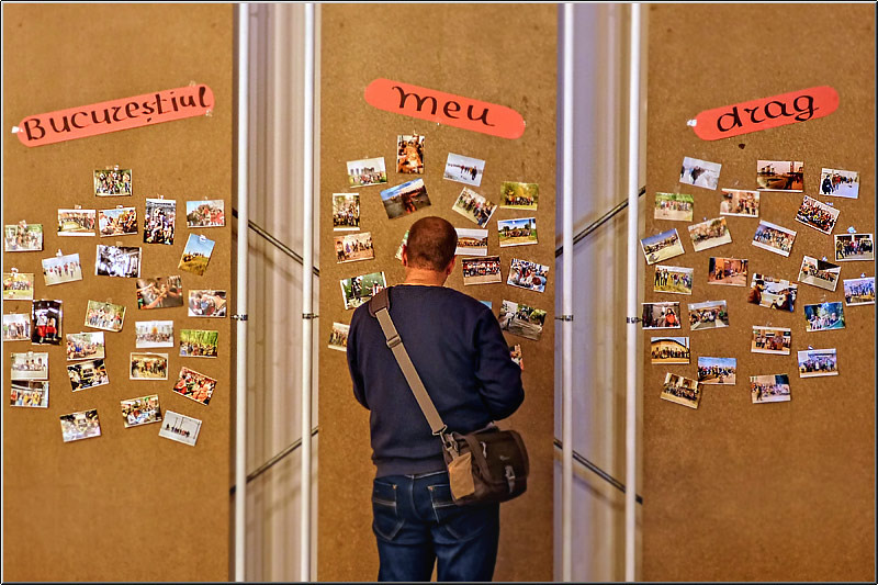 serban_vornicu-seneca_01