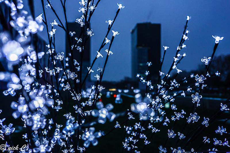 Luminitele sarbatorilor de iarna